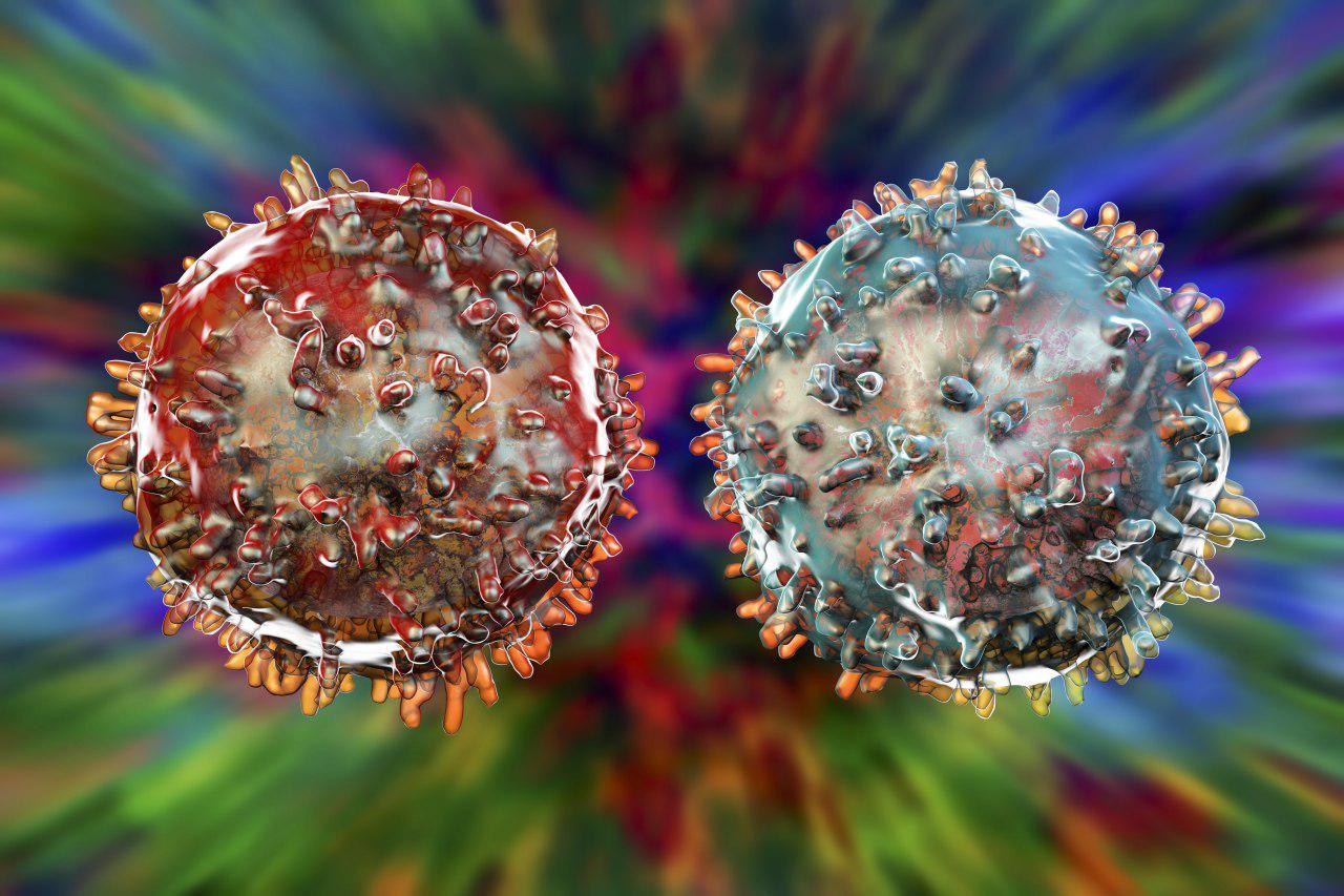 Как вырабатывается иммунитет в организме