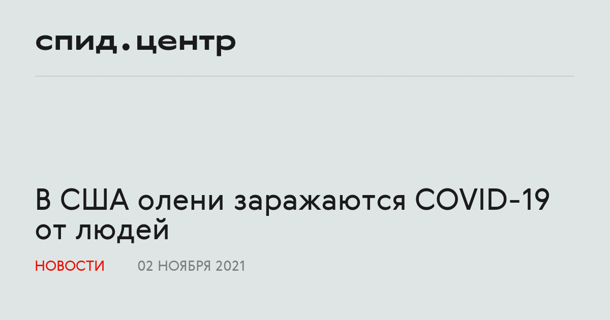 В сша олень заразился вирусом зомби