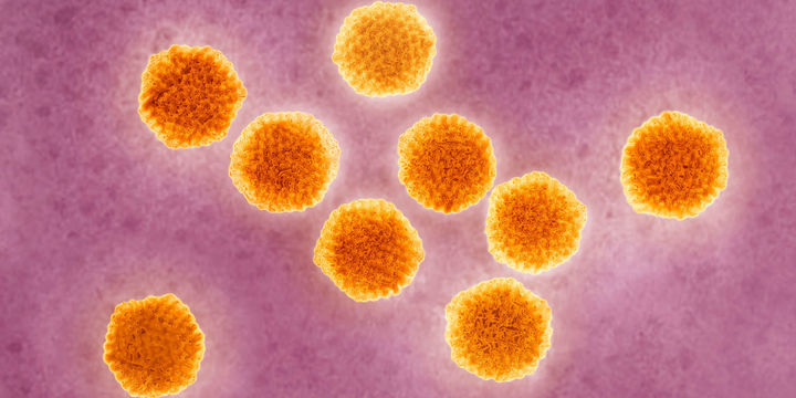 Вирус гепатита а в европе