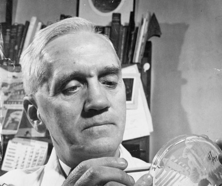 антибиотики роль в жизни человека. content alexander fleming investigates the effect of penicillin on bacterial growth. антибиотики роль в жизни человека фото. антибиотики роль в жизни человека-content alexander fleming investigates the effect of penicillin on bacterial growth. картинка антибиотики роль в жизни человека. картинка content alexander fleming investigates the effect of penicillin on bacterial growth.